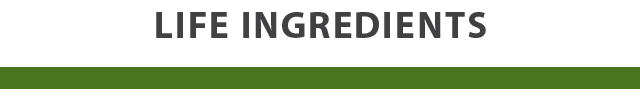 LIFE INGREDIENTS